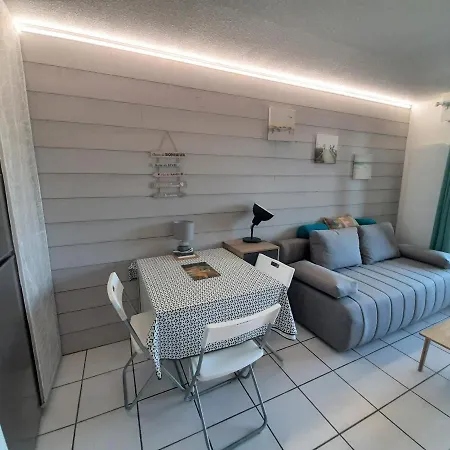Apartment Capbreton, 1 Piece, 4 Personnes - Fr-1-239-799