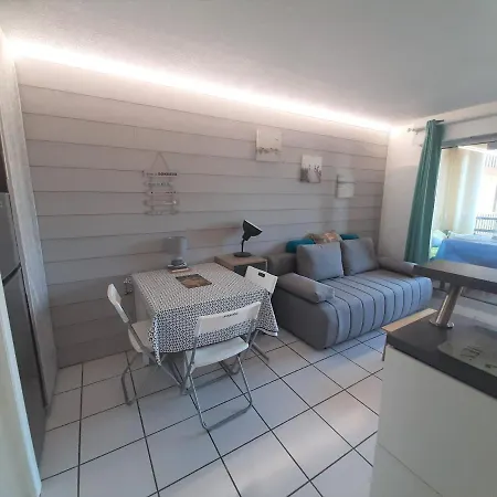 Apartment Capbreton, 1 Piece, 4 Personnes - Fr-1-239-799