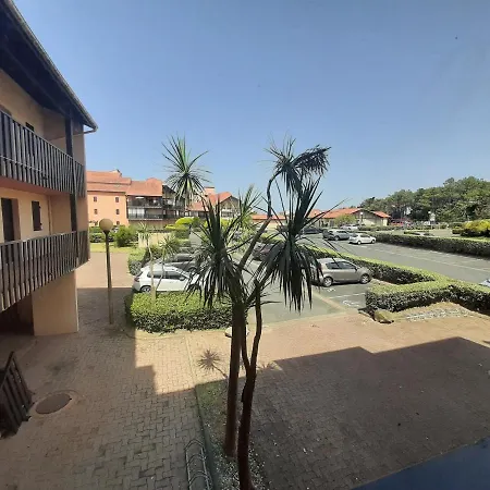 Apartment Capbreton, 1 Piece, 4 Personnes - Fr-1-239-799 Capbreton